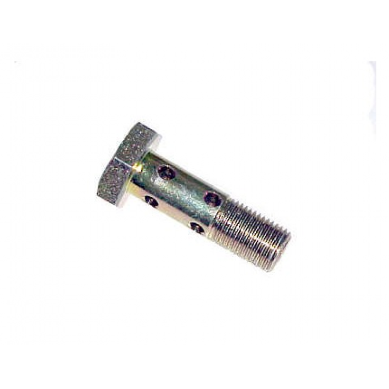 Parafuso Vazado 10mm Duplo  4 Furos 10x35 Br Company
