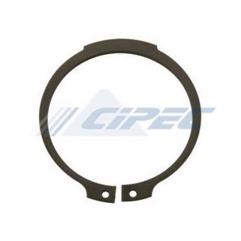 Anel Trava Rolamento Piloto 112/124 Br Company