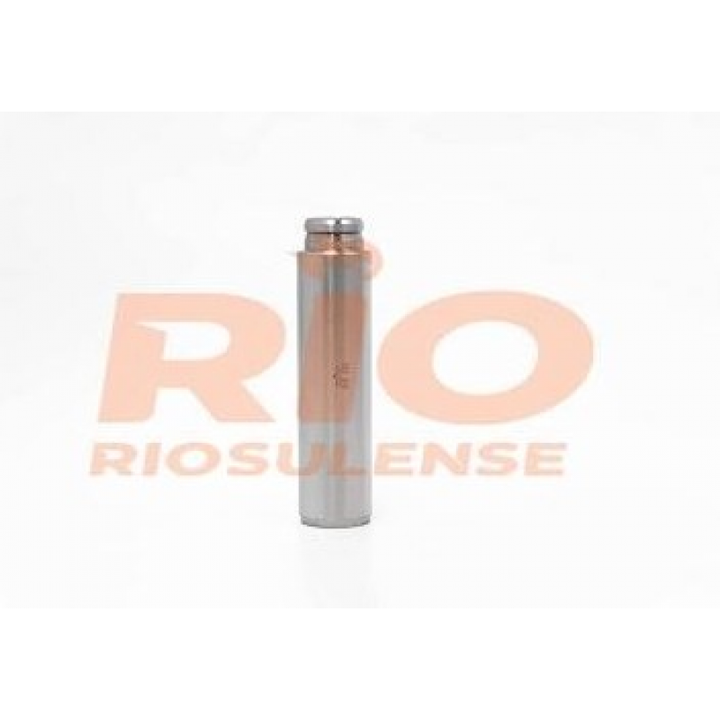 Guia Valvula Admissao Volvo N10b/nl10/n12ab Riosulense