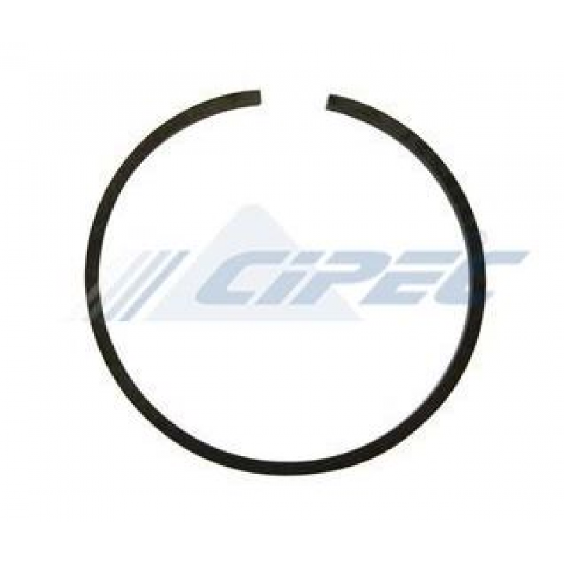 Anel Coletor P/sc 143 Grande Cipec