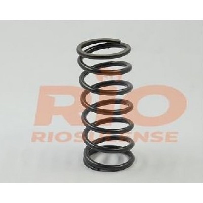 Mola Valvula Interna Volvo N12/fh12 Riosulense