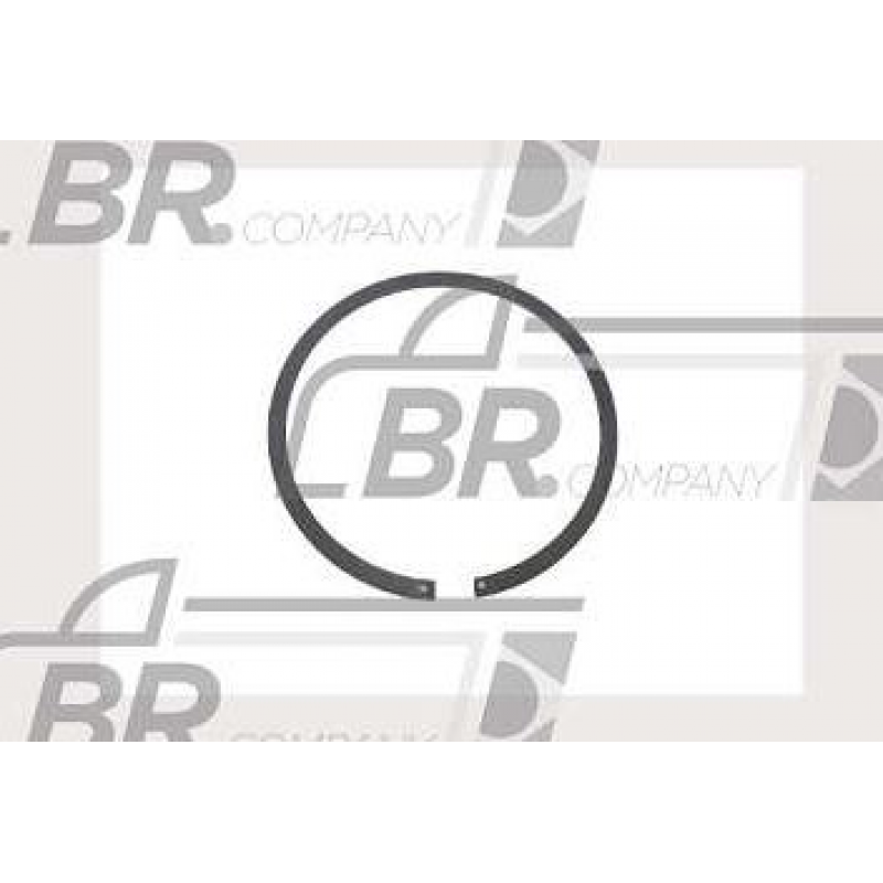 Anel Trava Acoplamento P/sc Ser4 Gr/s900 Br Company