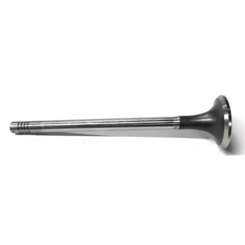 Valvula Admissao Scania114/124/s5  4 Canaleta Eaton