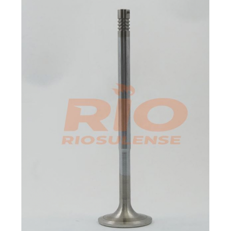 Valvula Admissao Scania 114/124/serie 5 / 4 Canaleta Riosulense