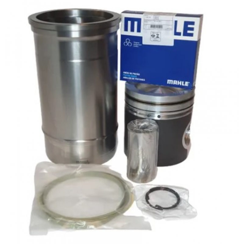 Kit Motor Sc113/114 95.. Dsc11 Eco/2 S/borracha Mahle Metal Leve