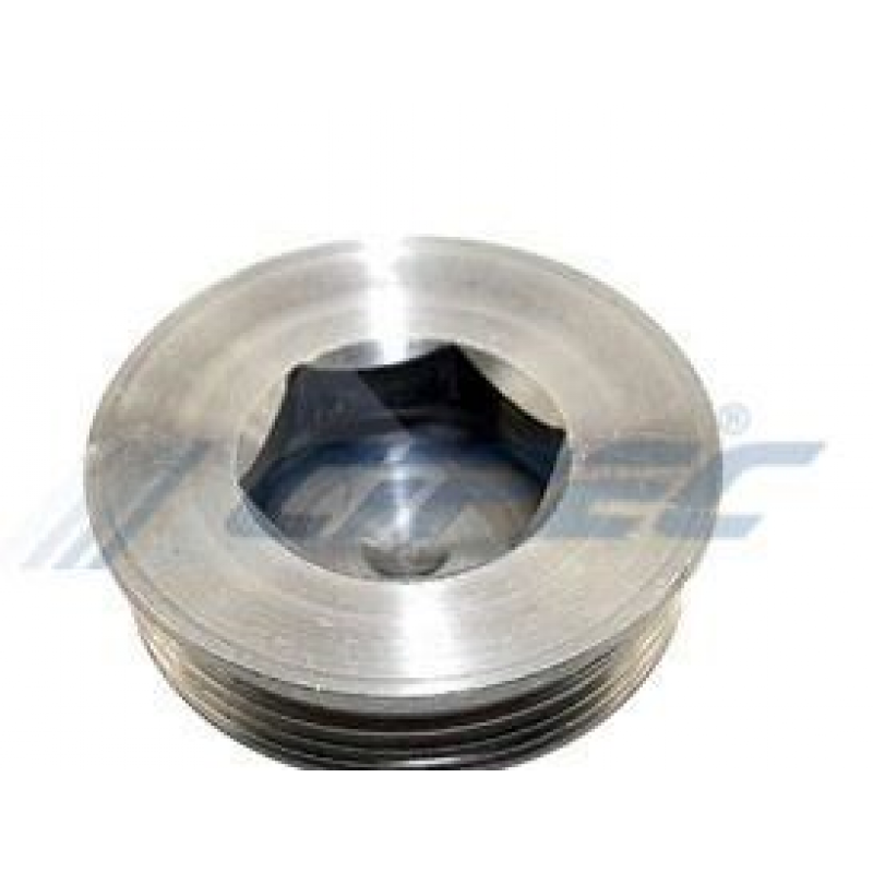 Bujao Cabecote Selo P/sc112/113 Cipec