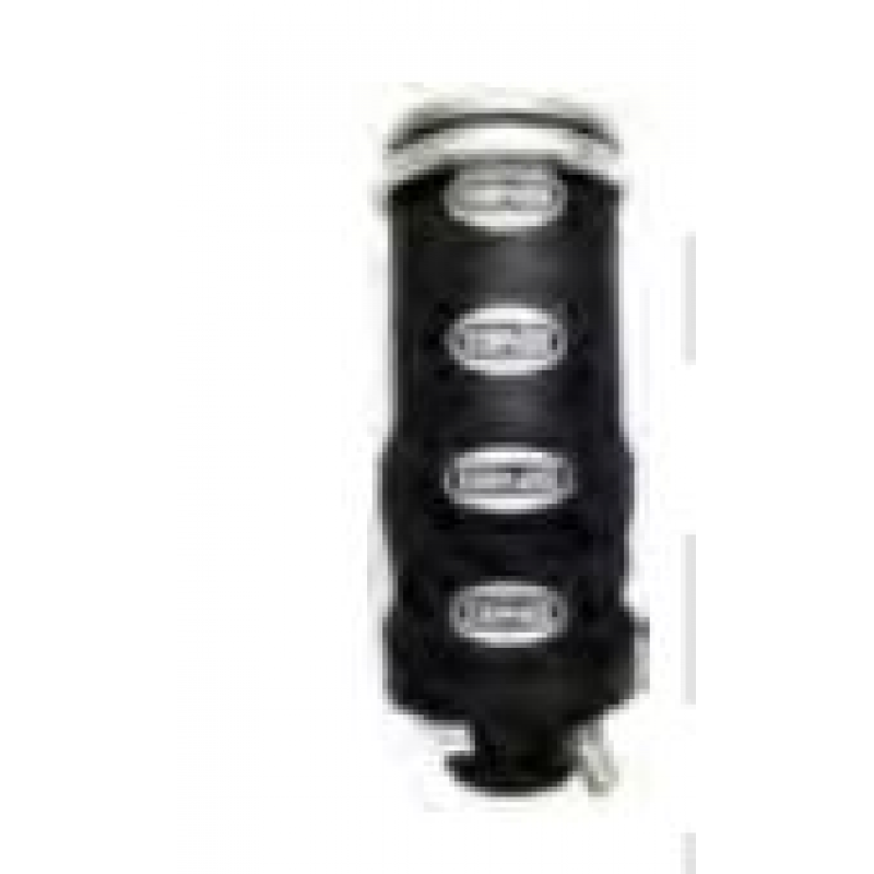 Bolsa Cab Susp/pneum /psc124 Highline Diant/traz/2008...2011 Teto Alto Bins