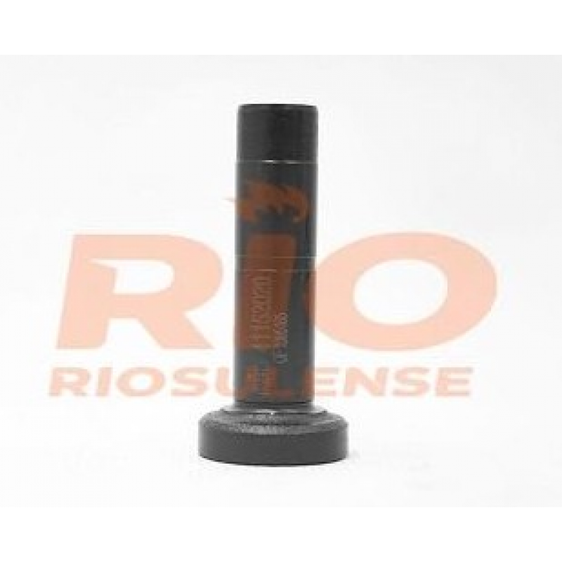 Tucho Motor Mercedes 1935/41 Om447/449la Riosulense