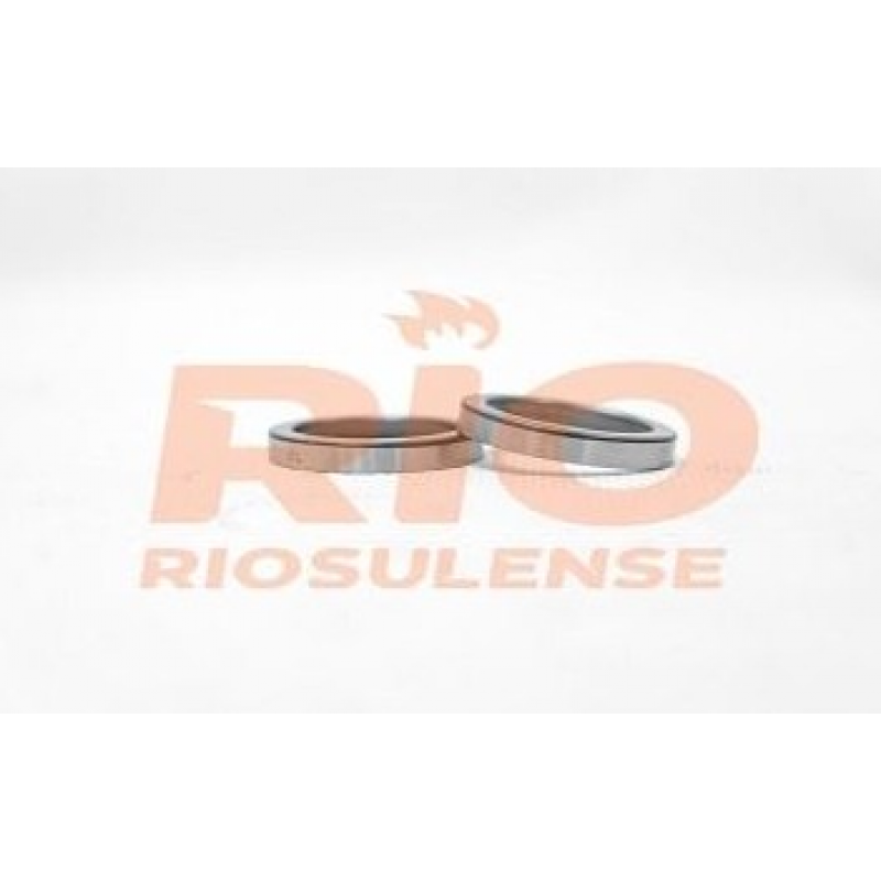 Sede Valvula Admissao Scania 114/124  +10 Riosulense