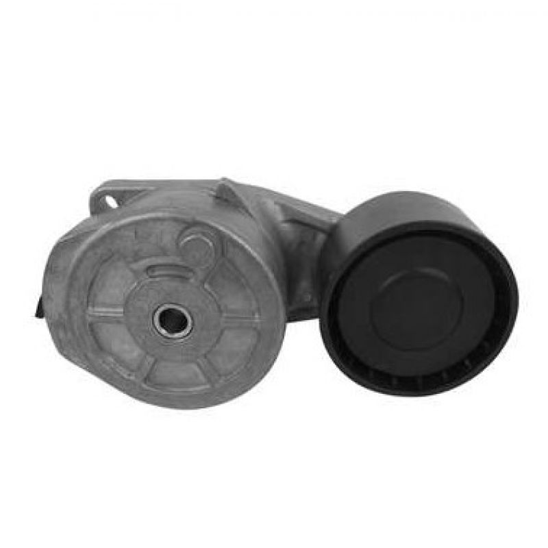 Estic Correia P/sc G440/480 D13 Nylon Dayco