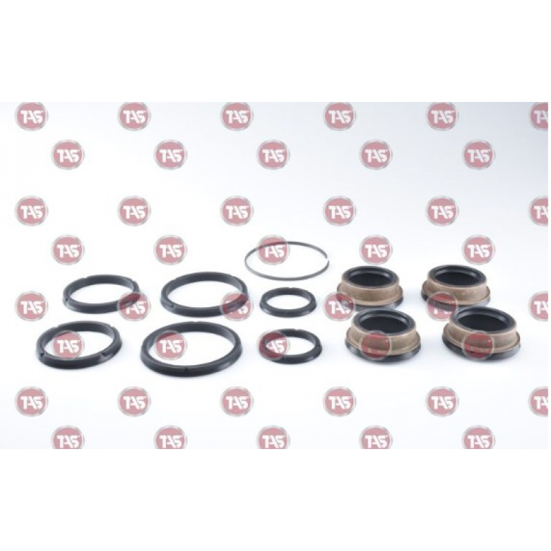 Reparo Trambulador Caixa I-shift Tas