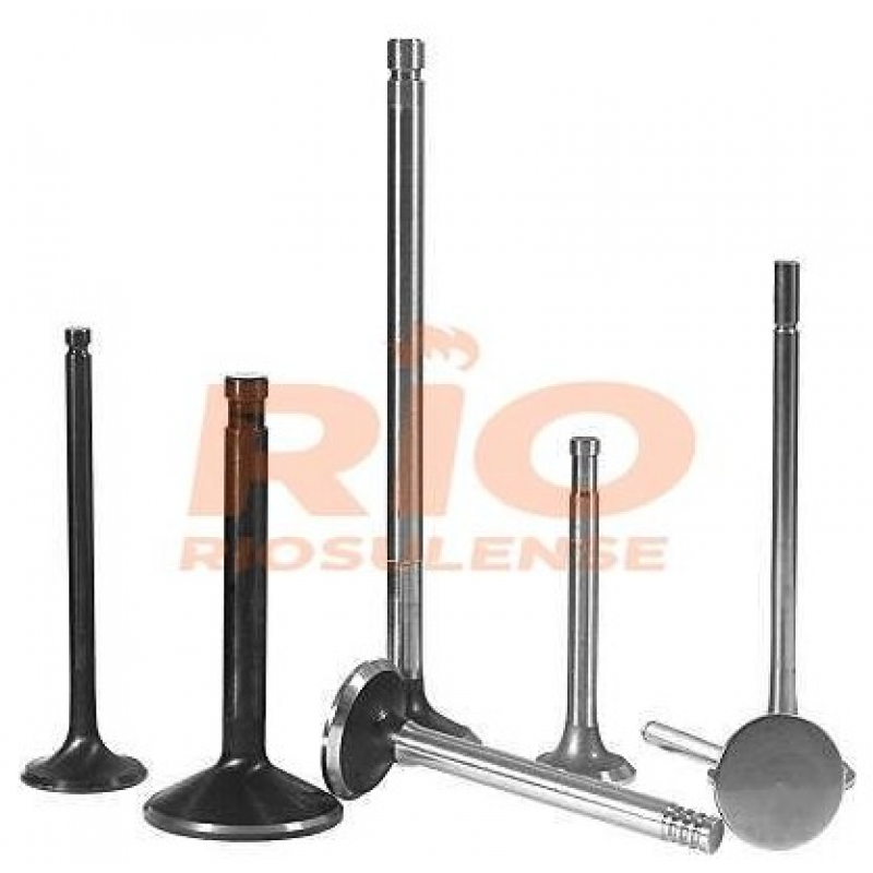 Valvula Admissao Volvo N/nl12 Riosulense