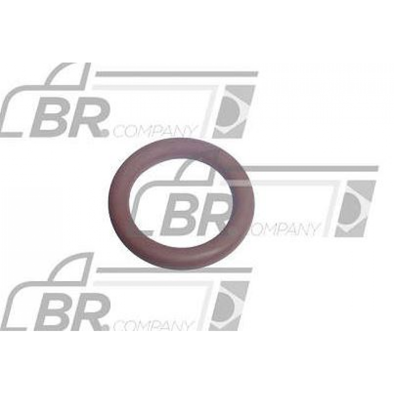 Anel Cano Bomba Oleo Caixa Vt I-shift Br Company