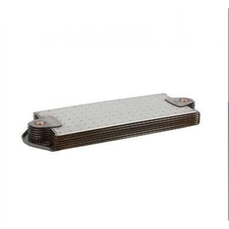Radiador Oleo Fh D13 Quality Line